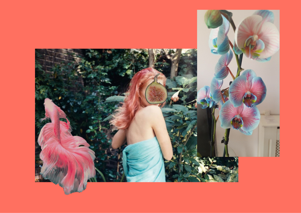 Hot Take: Coral&nbsp;Craze